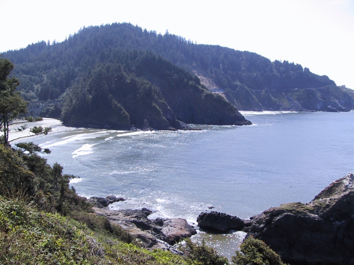 SALVATION WITHOUT REPENTENCE?